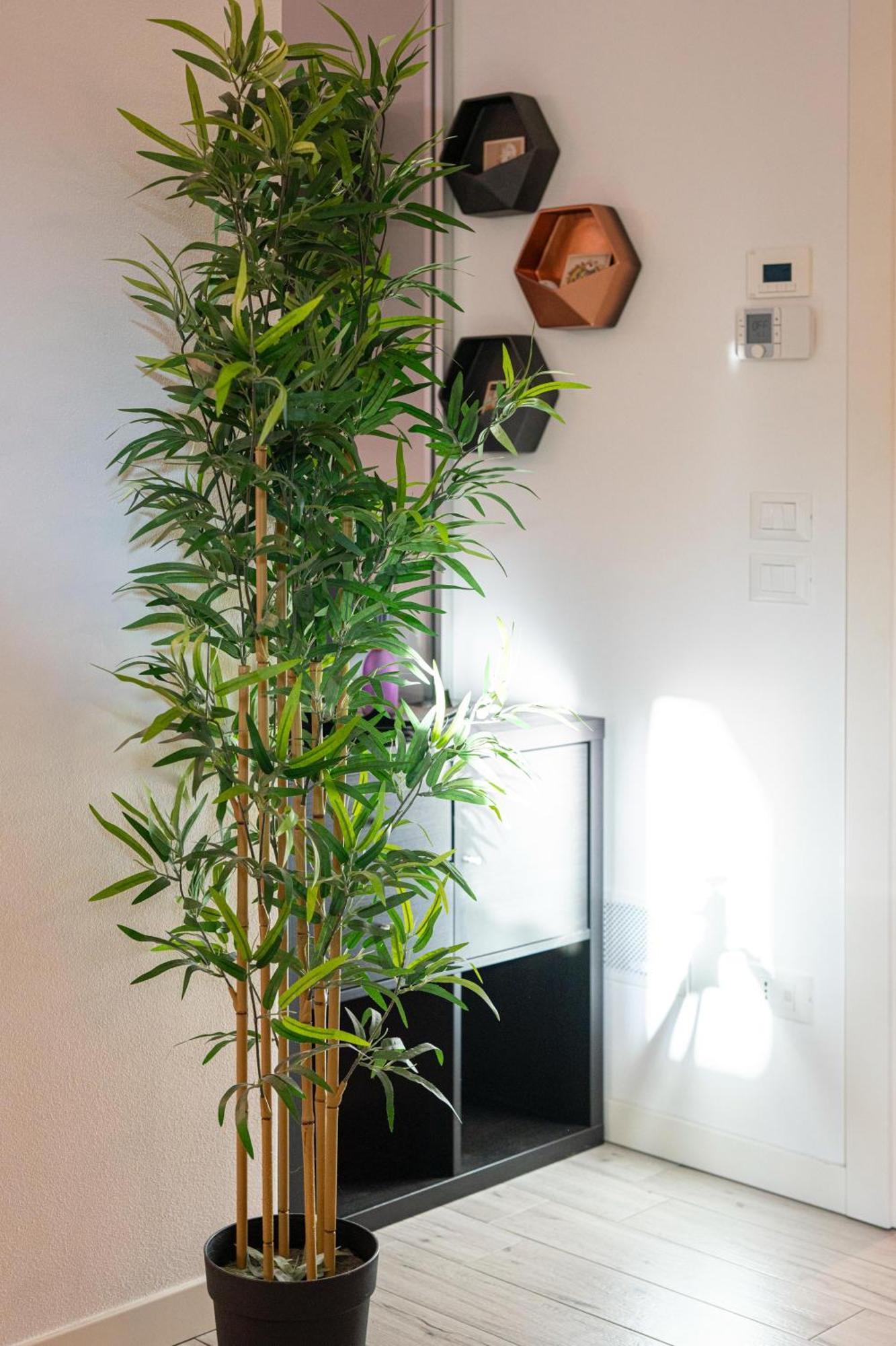 Vera Home سافينيانو سول روبيكوني المظهر الخارجي الصورة